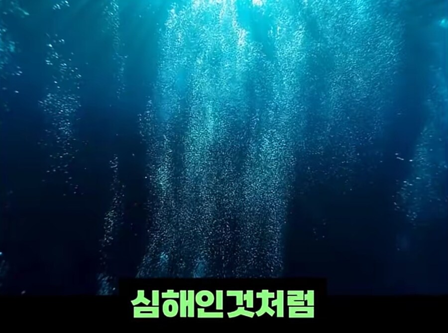 블랙타이거새우 양식 방법_14.jpg