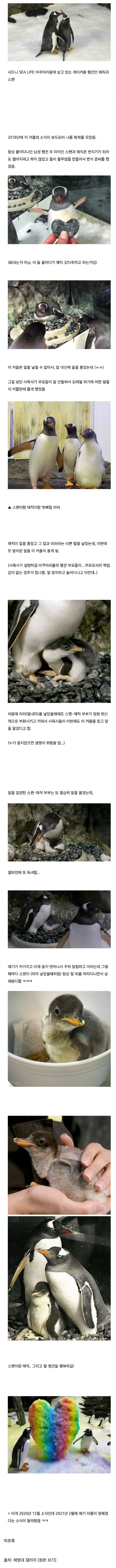 아름다운 사랑 이야기 ㅠㅠ_1.jpg