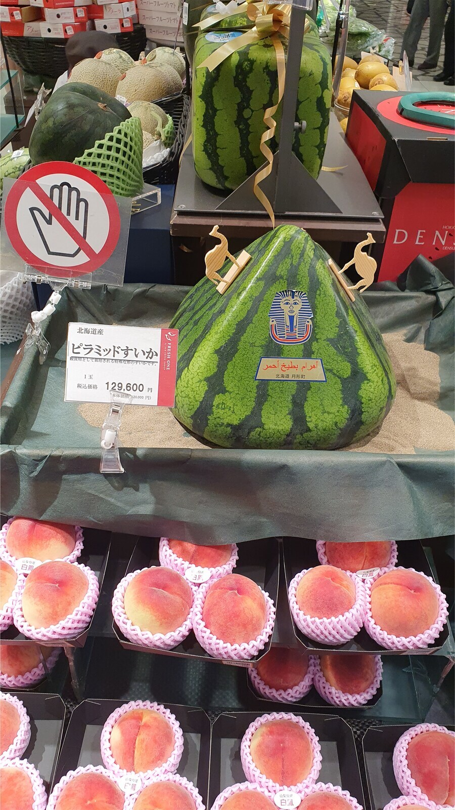 오른쪽에서 본 일본의 130만원짜리 수박_1.jpg