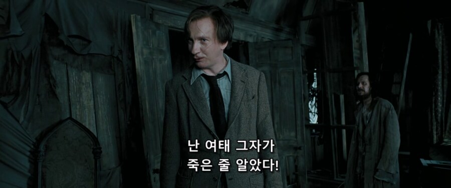 해리포터 스네이프가 감정못숨기고 신나하던 순간_4.jpg