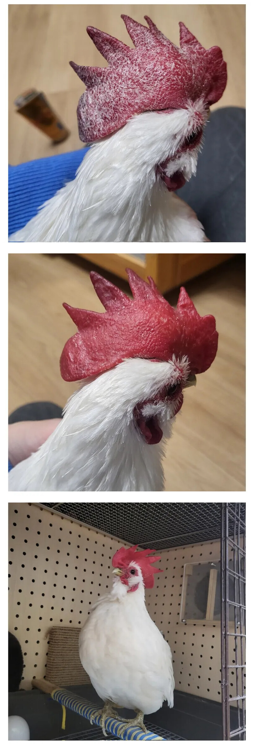 핸드 크림의 효과._1.jpg