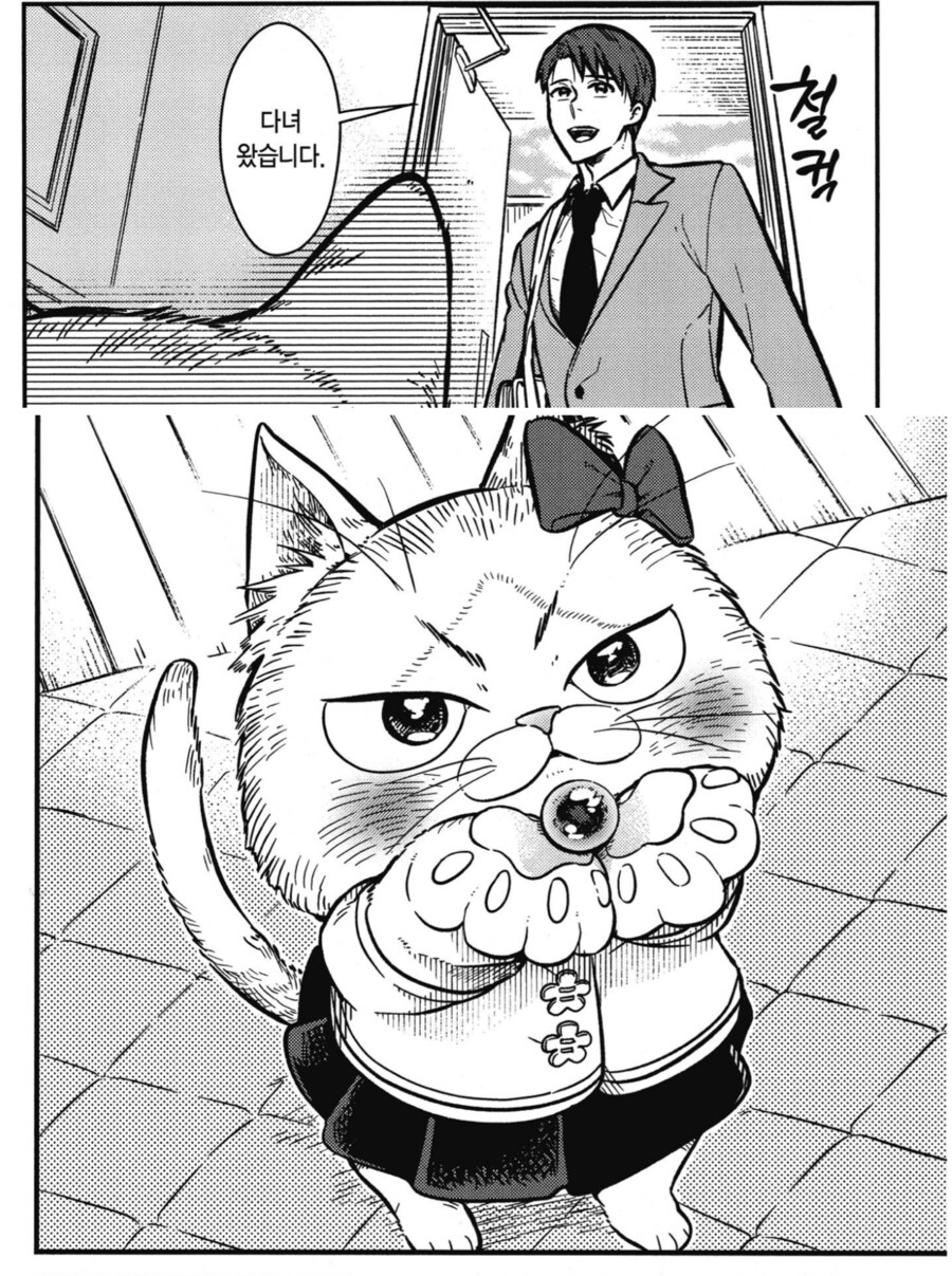 인간 오빠한테 물건 자랑하고 싶은 고양이 동생.mamwha_1.png
