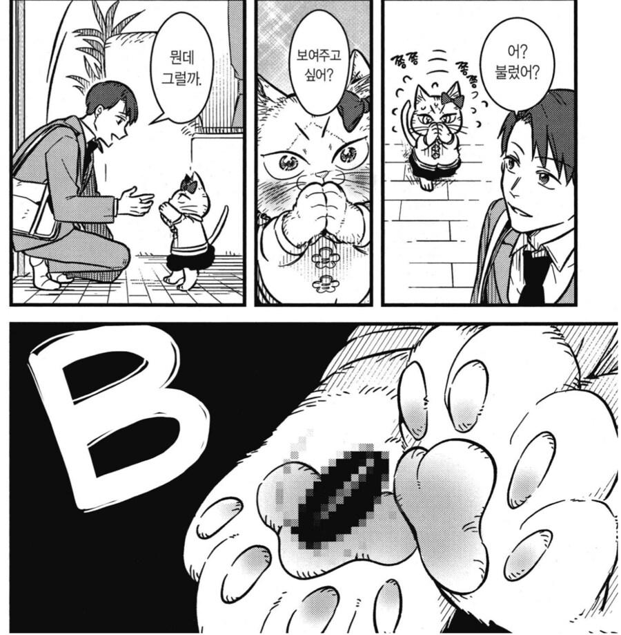 인간 오빠한테 물건 자랑하고 싶은 고양이 동생.mamwha_4.png
