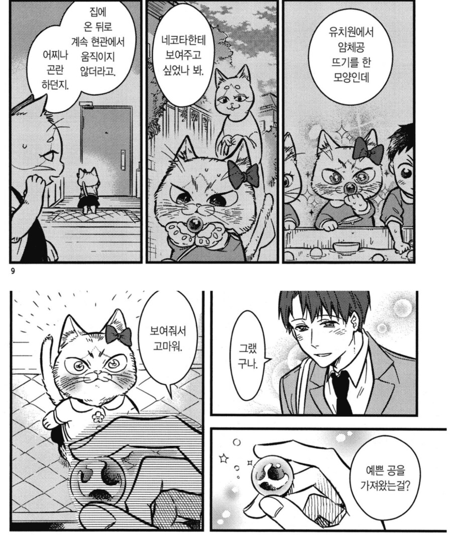 인간 오빠한테 물건 자랑하고 싶은 고양이 동생.mamwha_3.png