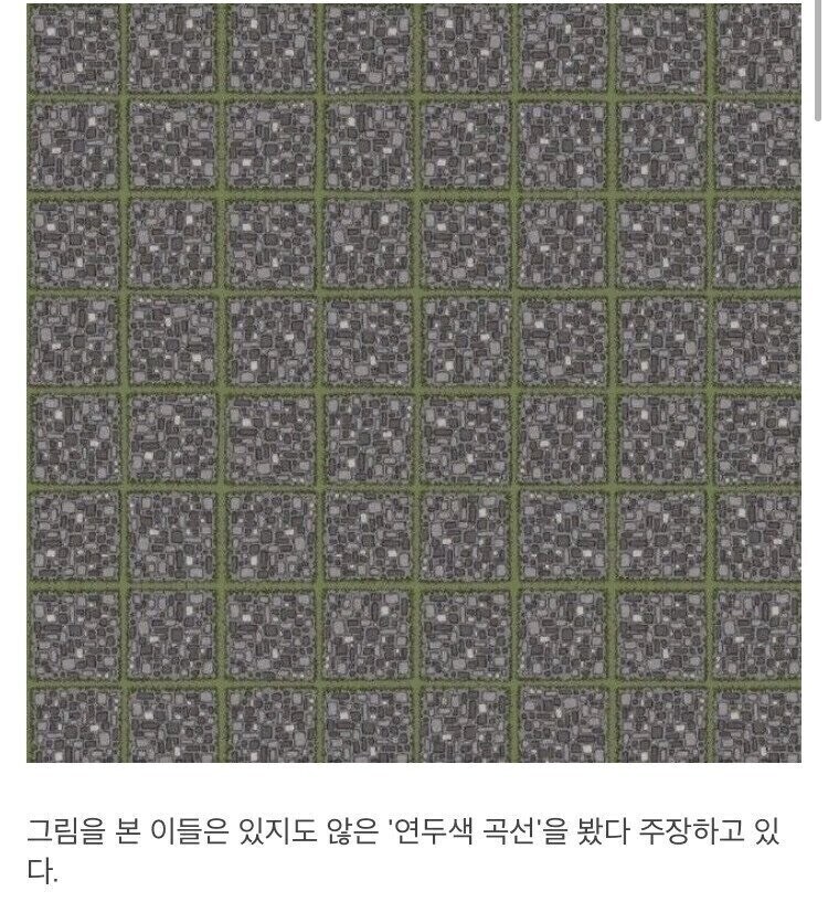 뇌를 농락하는 그림.jpg_1.jpg