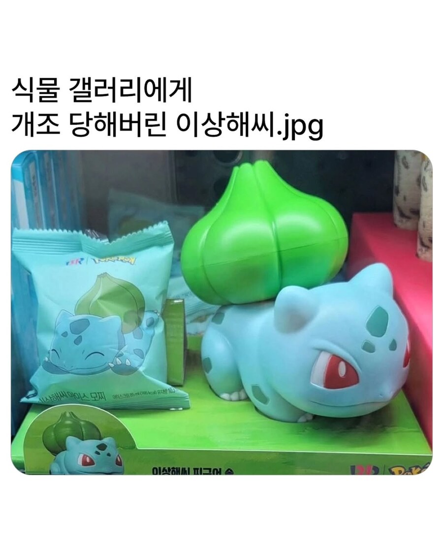식물갤 금손에게 걸린 이상해씨_1.png