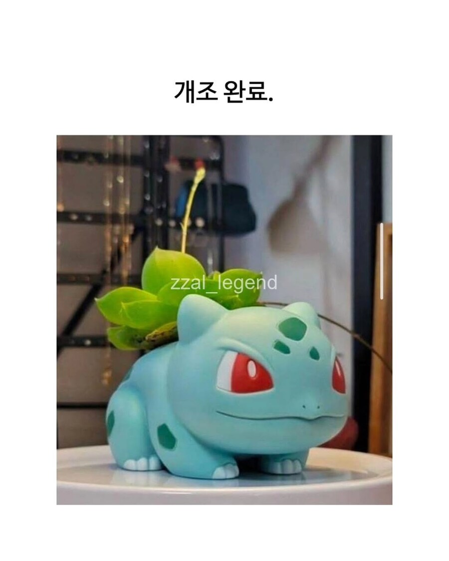 식물갤 금손에게 걸린 이상해씨_5.png