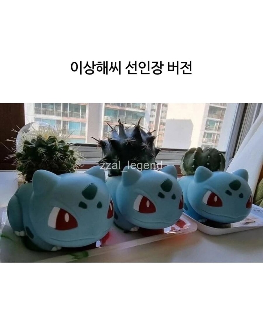 식물갤 금손에게 걸린 이상해씨_8.png