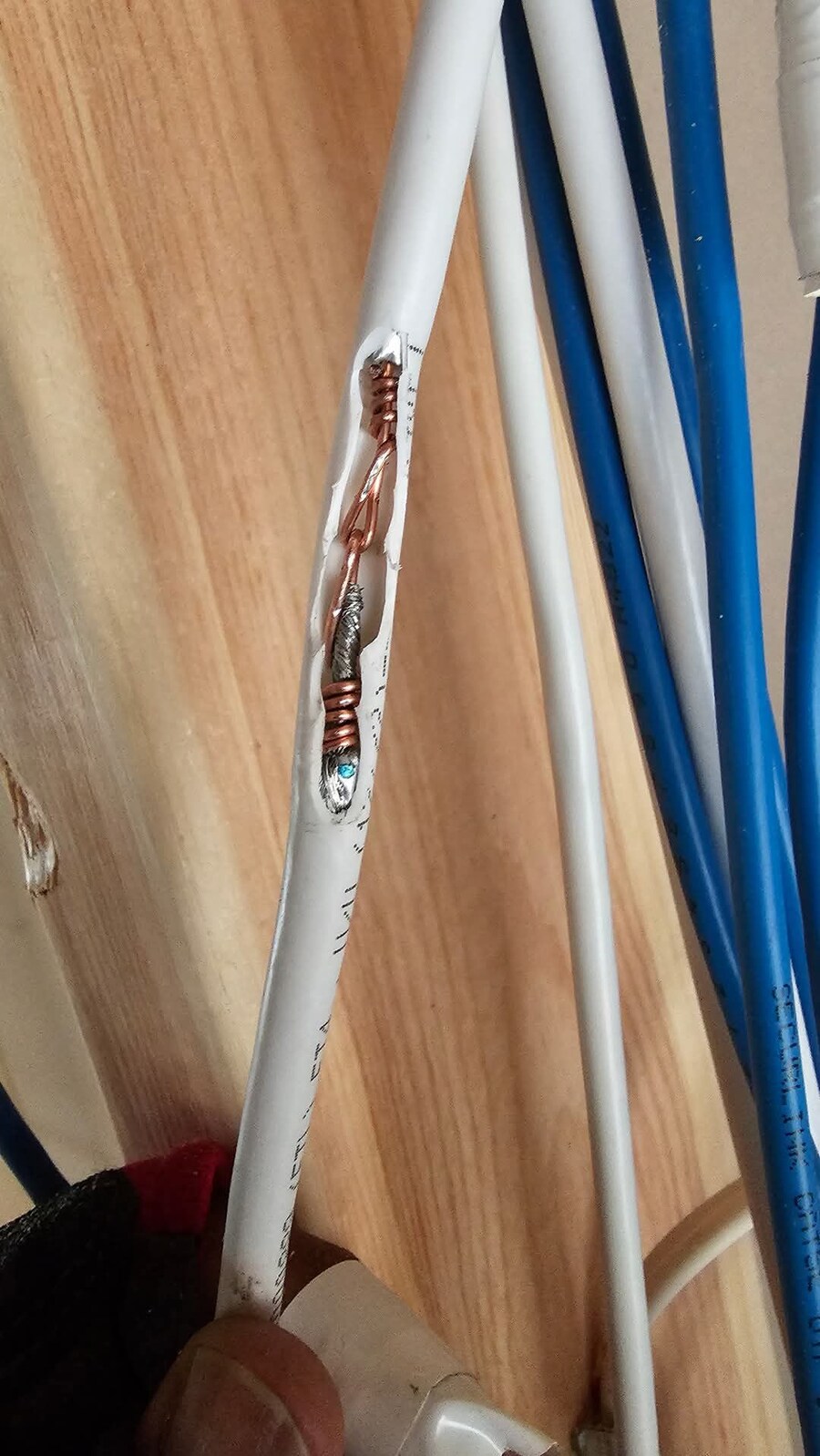 케이블 안에서 험한 것이 나왔다_1.jpg