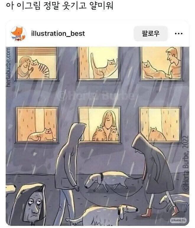 고양이 집사 v. 강아지 집사 비교 짤...jpg_1.jpg
