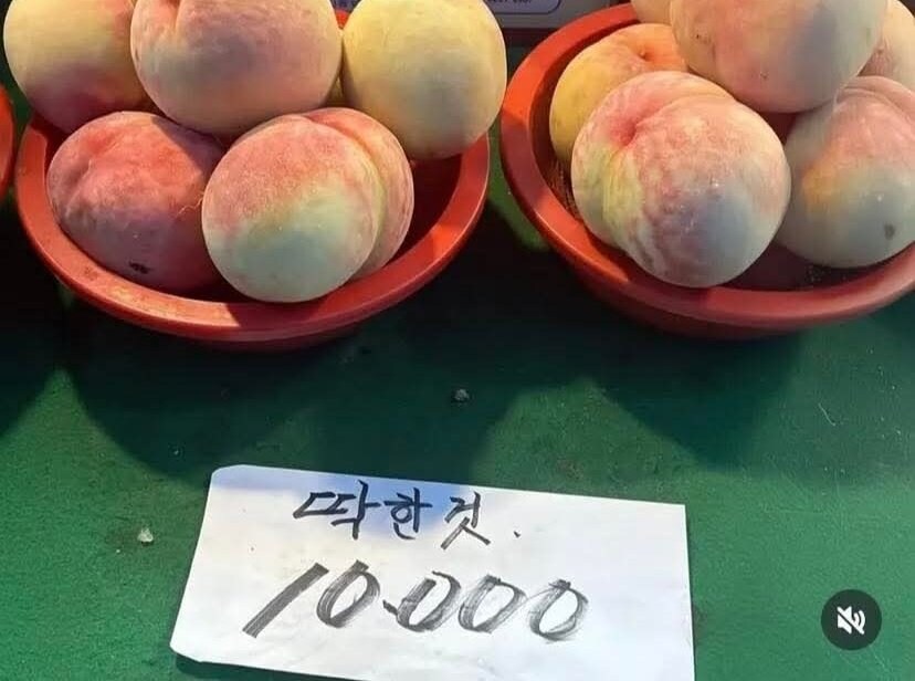참 가엽고도.._1.jpg
