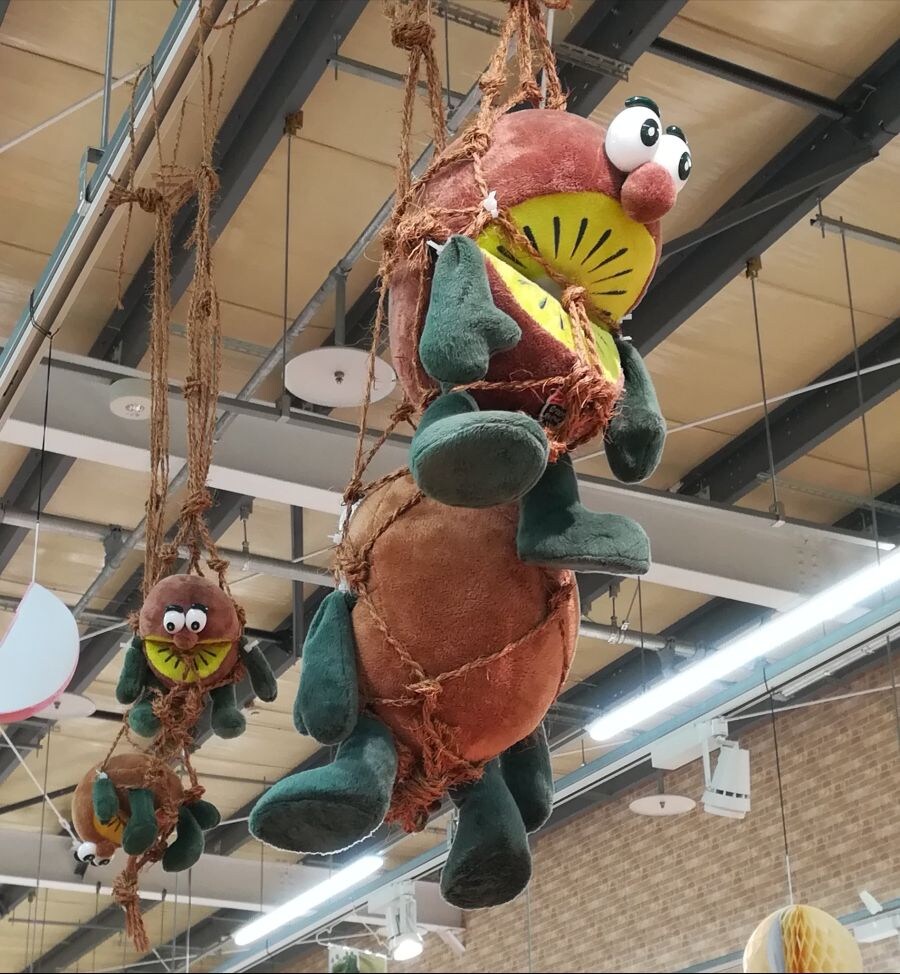 제스프리 공장 탈주자의 말로.jpg_1.jpg
