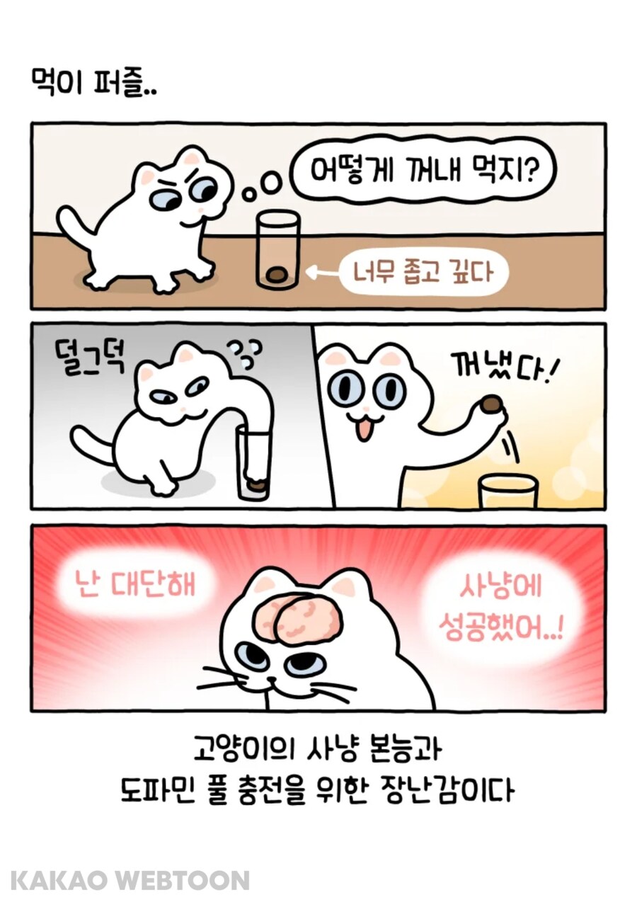 한 고양이의 먹이 퍼즐 푸는 법._1.jpg