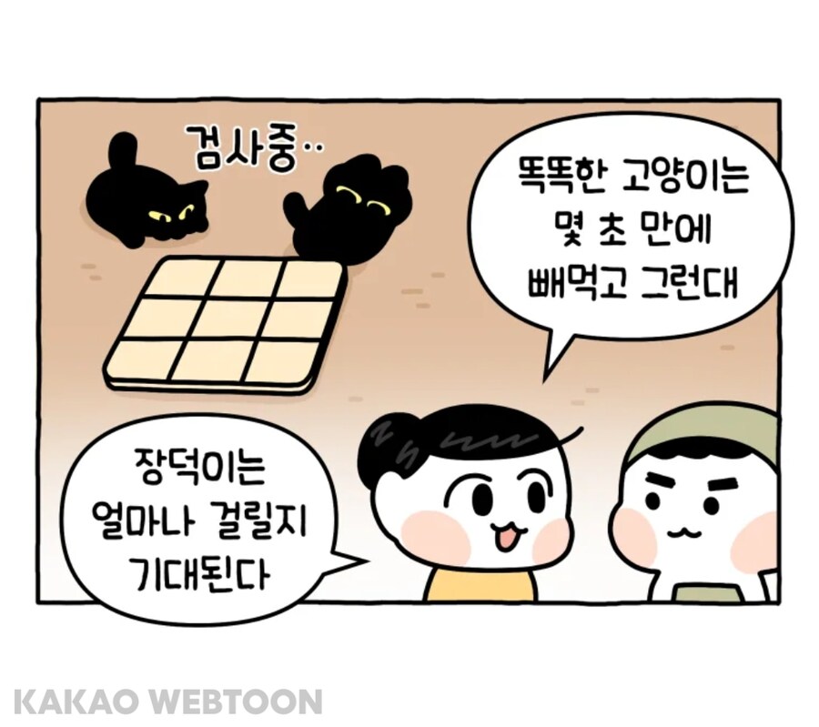 한 고양이의 먹이 퍼즐 푸는 법._3.jpg