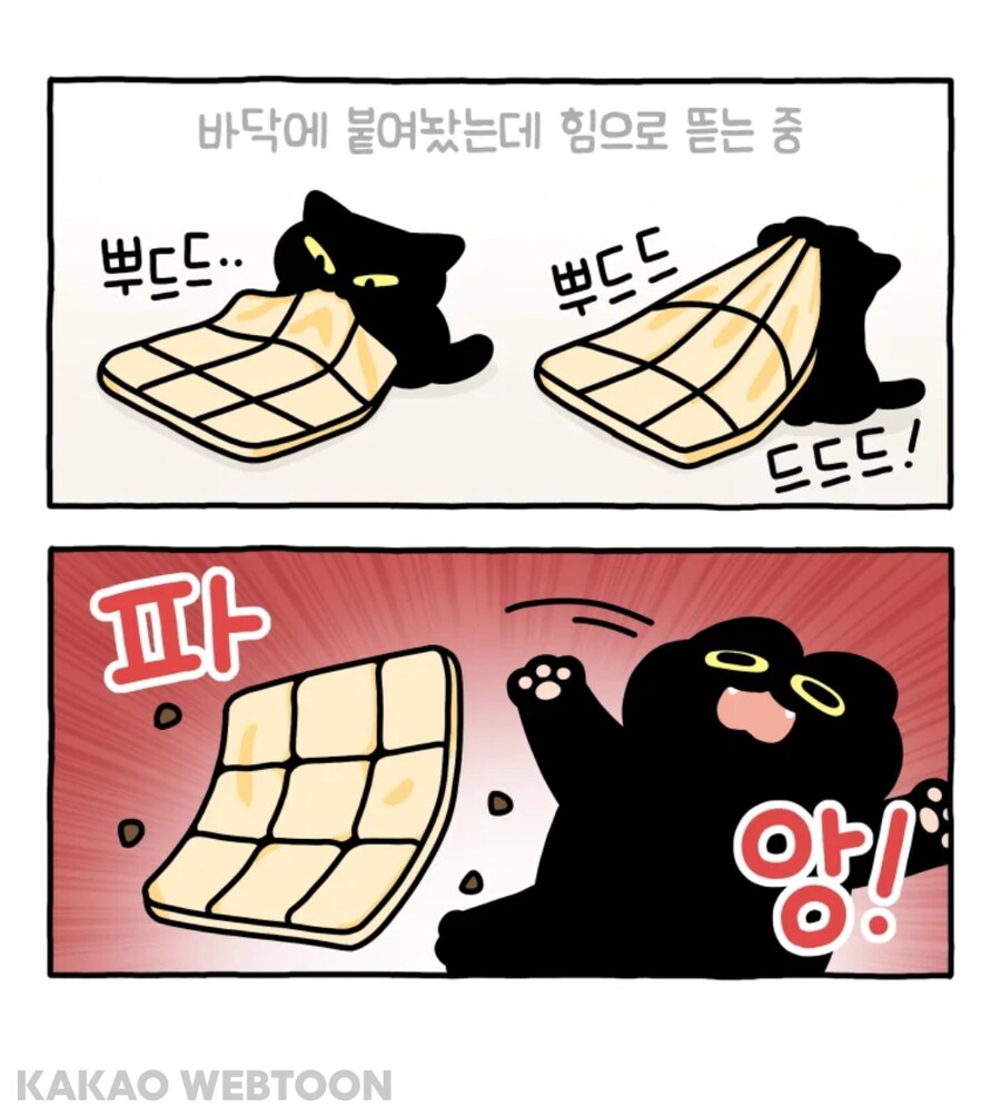 한 고양이의 먹이 퍼즐 푸는 법._10.jpg