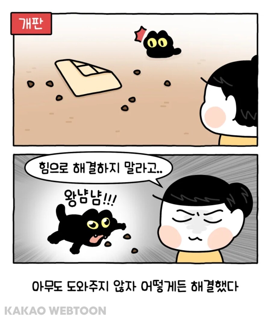한 고양이의 먹이 퍼즐 푸는 법._11.jpg