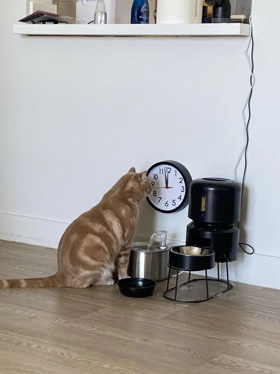 지금 심정 요약짤_1.jpg