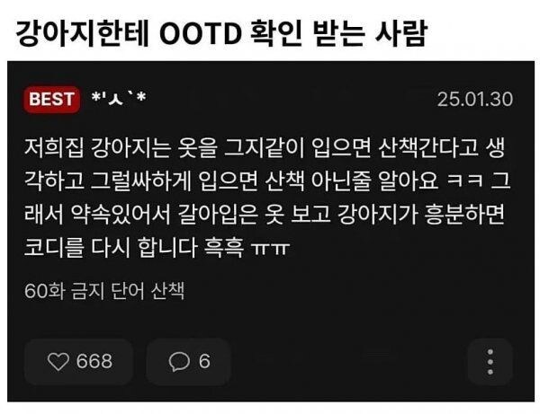 강아지한테 옷차림 확인받기_1.jpg