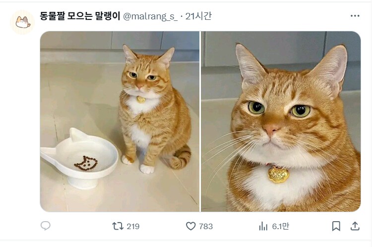 ? : 이걸 지금 먹으라고 준거냐?_1.png