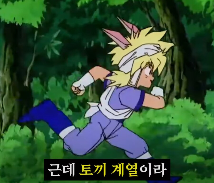 기체를 잘못 고름.jpg_24.jpg