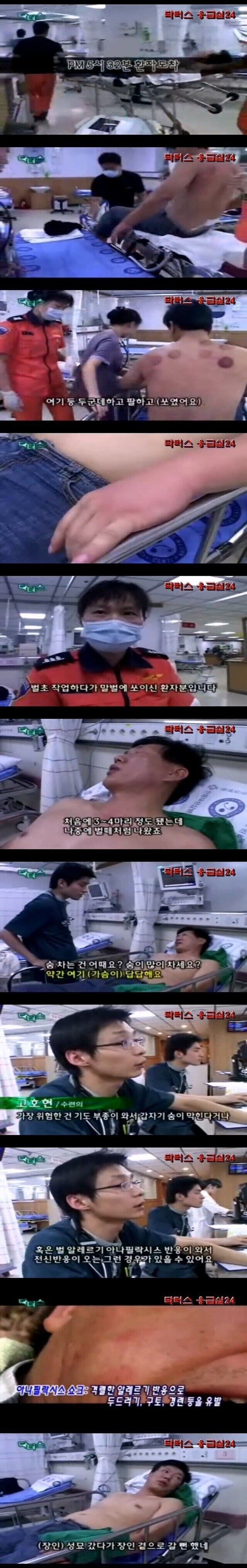 말벌에 쏘인 아저씨의 매콤한 드립.JPG_1.jpg