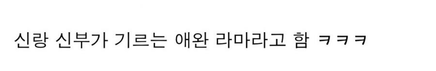어느 결혼식의 수상한 하객_4.jpg