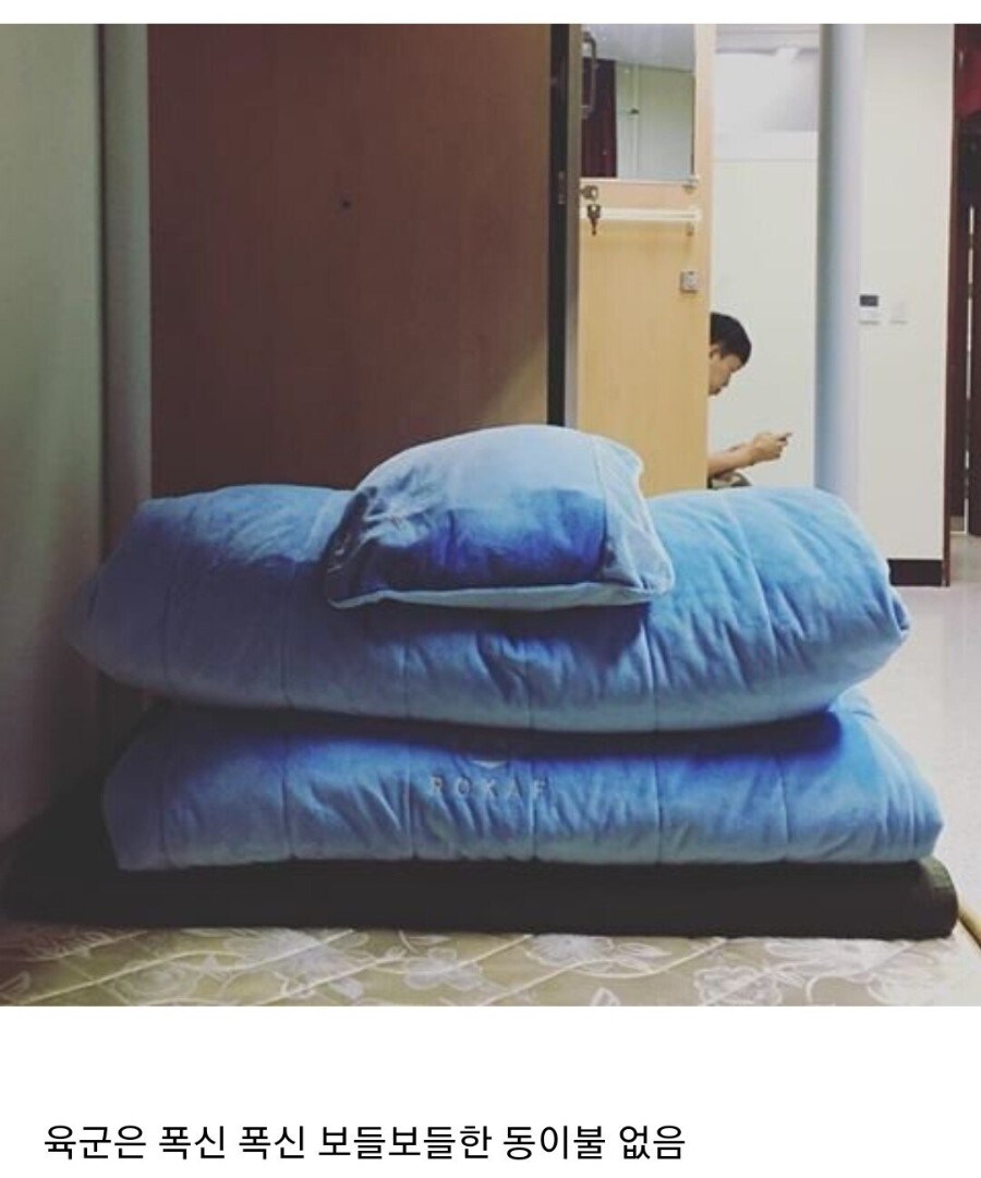 육군 공군 서로 놀라는거_1.jpg