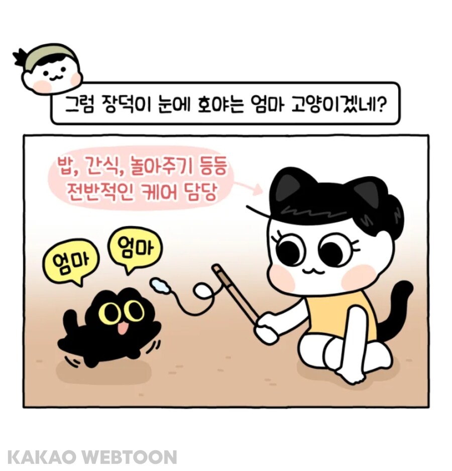 고양이는 사람을 큰 고양이로 인식한다고 한_3.jpg
