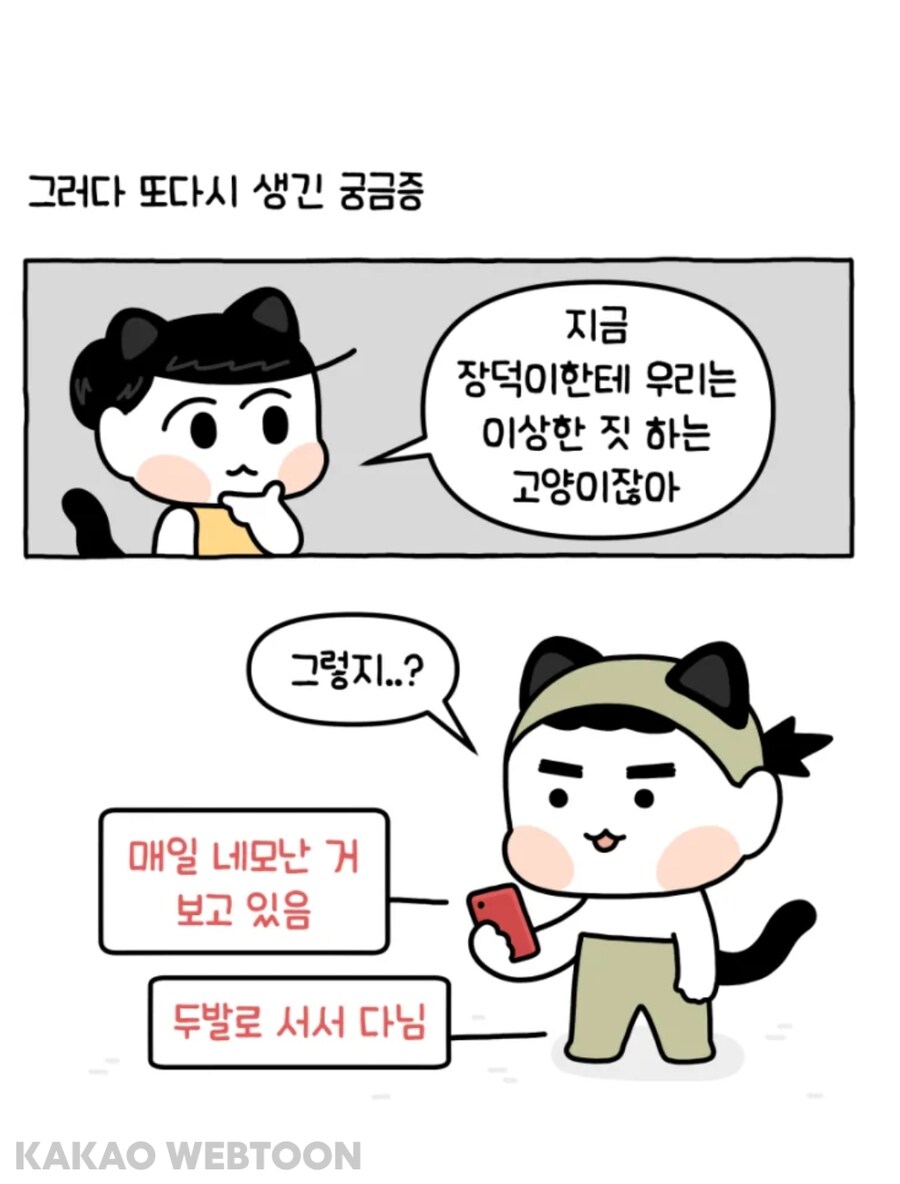 고양이는 사람을 큰 고양이로 인식한다고 한_6.jpg