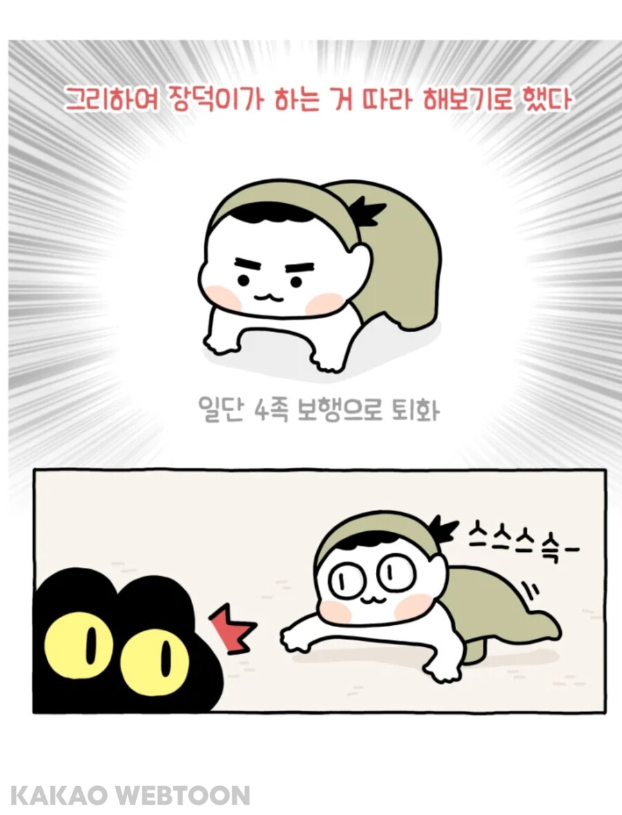 고양이는 사람을 큰 고양이로 인식한다고 한_8.jpg