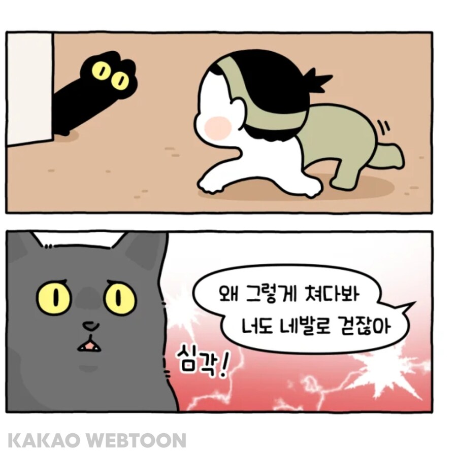 고양이는 사람을 큰 고양이로 인식한다고 한_9.jpg