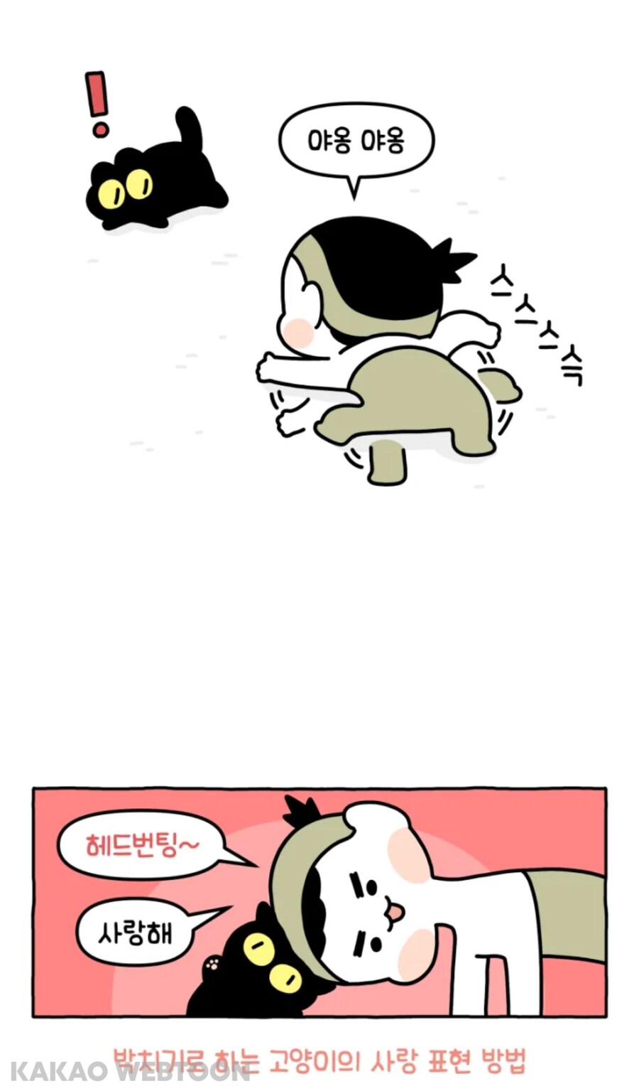 고양이는 사람을 큰 고양이로 인식한다고 한_10.jpg