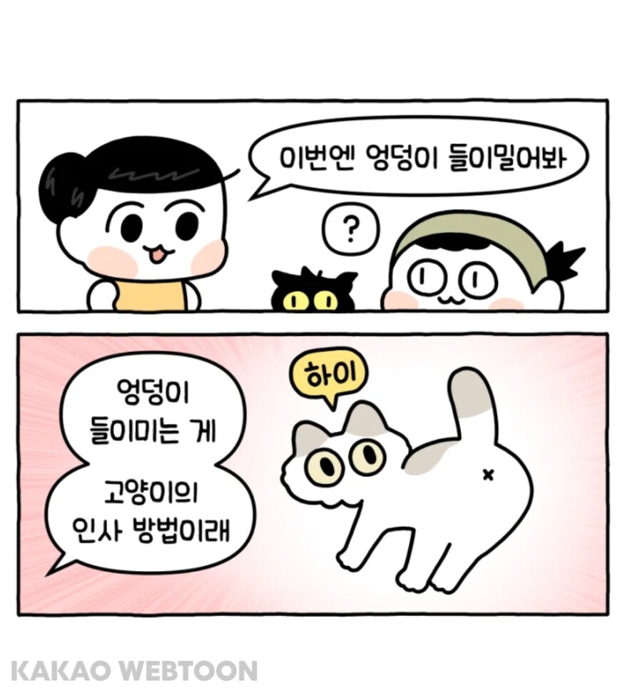 고양이는 사람을 큰 고양이로 인식한다고 한_11.jpg