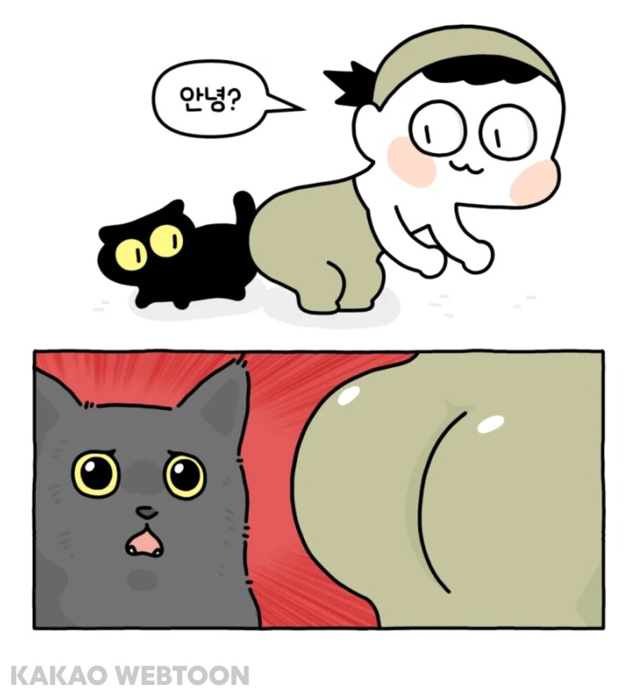 고양이는 사람을 큰 고양이로 인식한다고 한_12.jpg