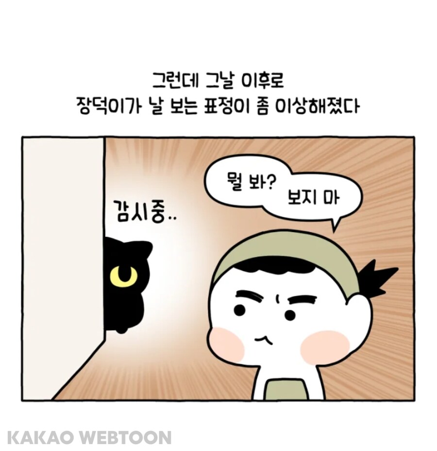 고양이는 사람을 큰 고양이로 인식한다고 한_14.jpg