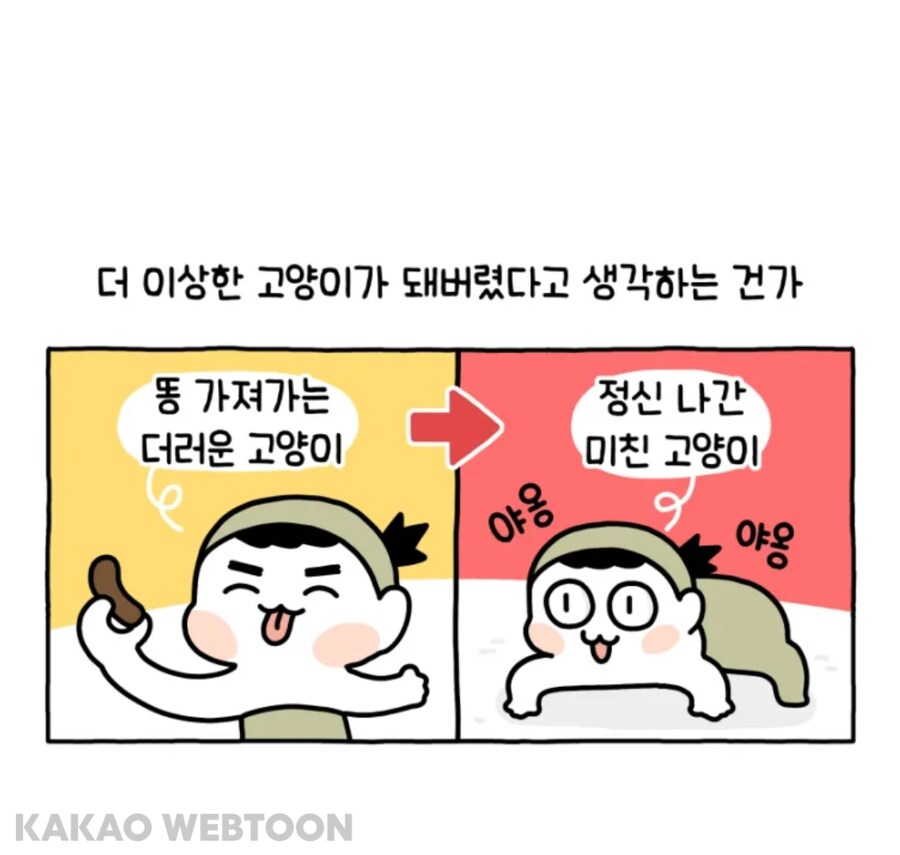 고양이는 사람을 큰 고양이로 인식한다고 한_15.jpg