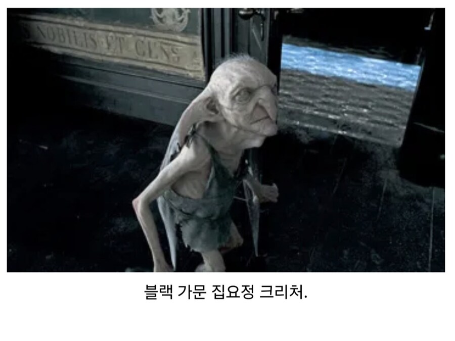 해리포터에서 은근 미스터리한 집요정 심리.jpg_1.jpg