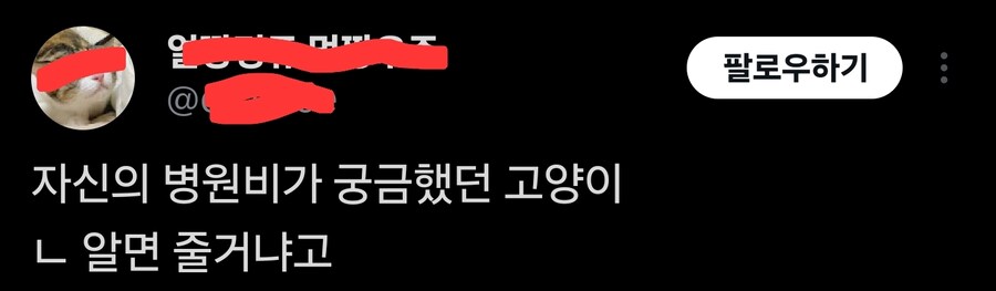 자기 병원비가 궁금했던 고양이_1.jpg