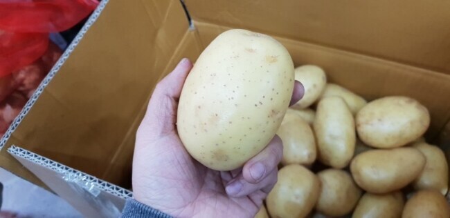 이쁜 감자 .jpg_1.jpg