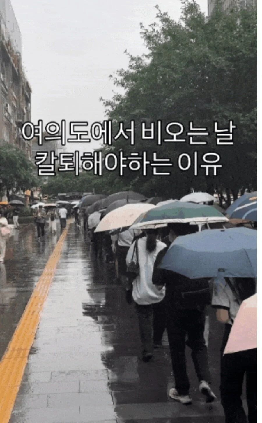 여의도에서 비오는 날 칼퇴해야하는 이유_1.jpg