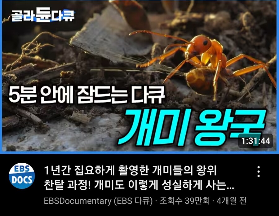 1년동안 집요하게 촬영했다는 다큐멘터리_1.jpg