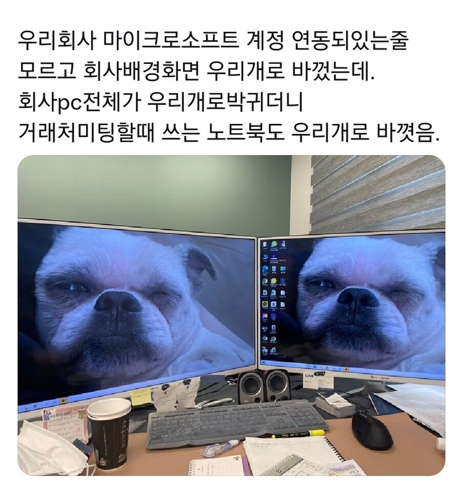 회사 배경화면 犬참사.jpg_1.jpg