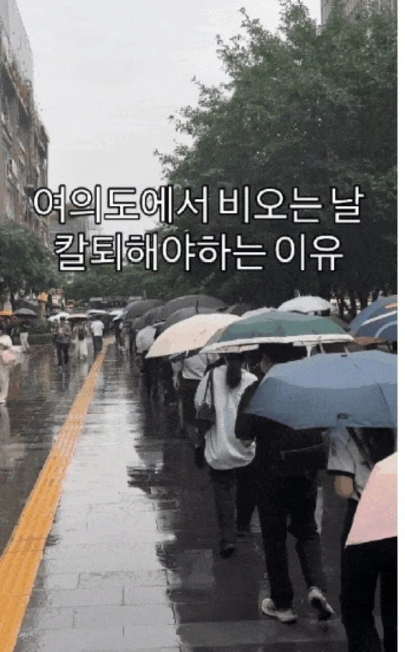 여의도에서 비오는 날 칼퇴해야하는 이유_1.jpg