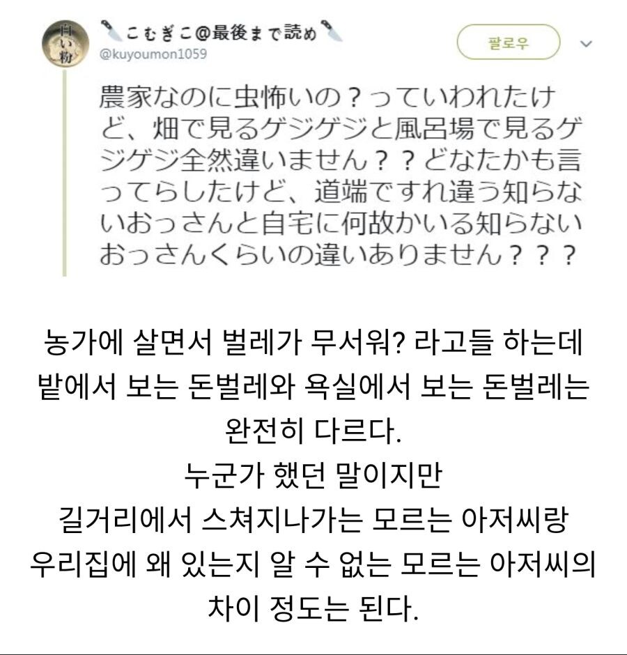 시골 살아도 벌레는 무섭다.jpg_1.jpg