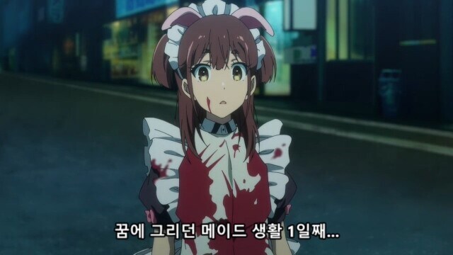 우리가 잘 몰랐던 90년대 아키하바라의 현실_52.jpg