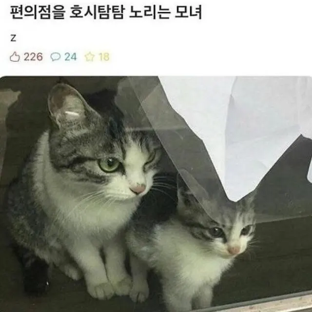 부모자식 둘이서 도둑질 하려고 서 있는 거 알바가 찍었다고함;_1.webp