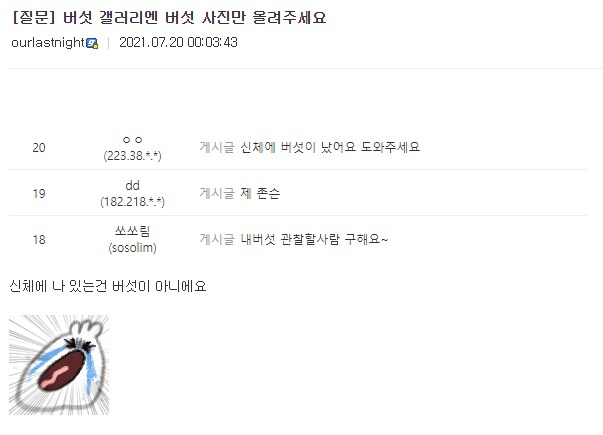 디씨에서 고통받는 어느 마갤 파딱.jpg_1.png