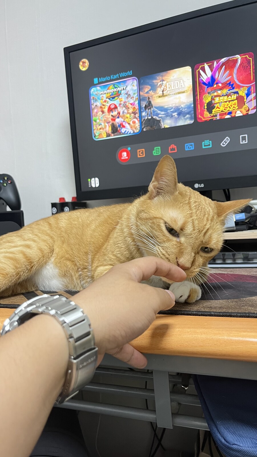내 책상 고양이가 점령 하심_3.jpg