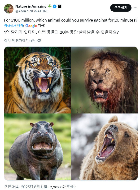 20분간 이 동물 중 하나 상대로 살아남으면 1억 달러를 준다면?_1.jpg