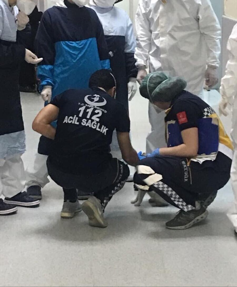 내 애기좀 살려달라냥_2.jpg